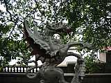 img_1591